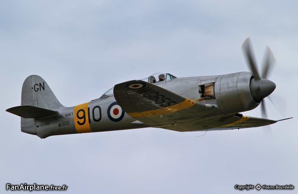 Sea Fury TMK 20 - NX20MD