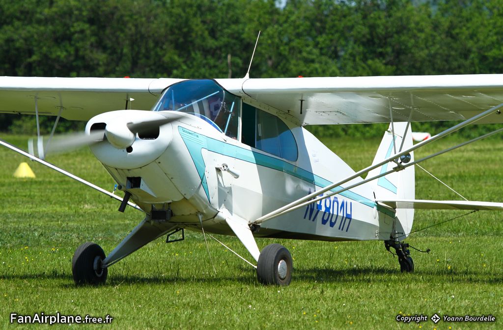Piper PA-12 Super Cruiser - N7801H