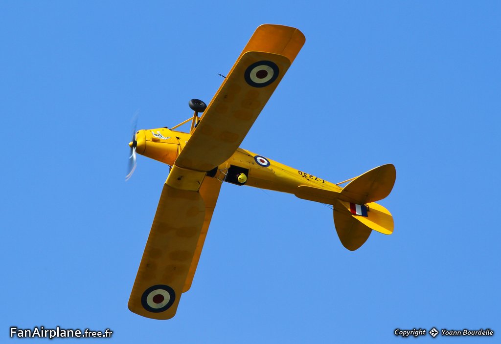 De Havilland DH-82A Tiger Moth II - G-AFVE