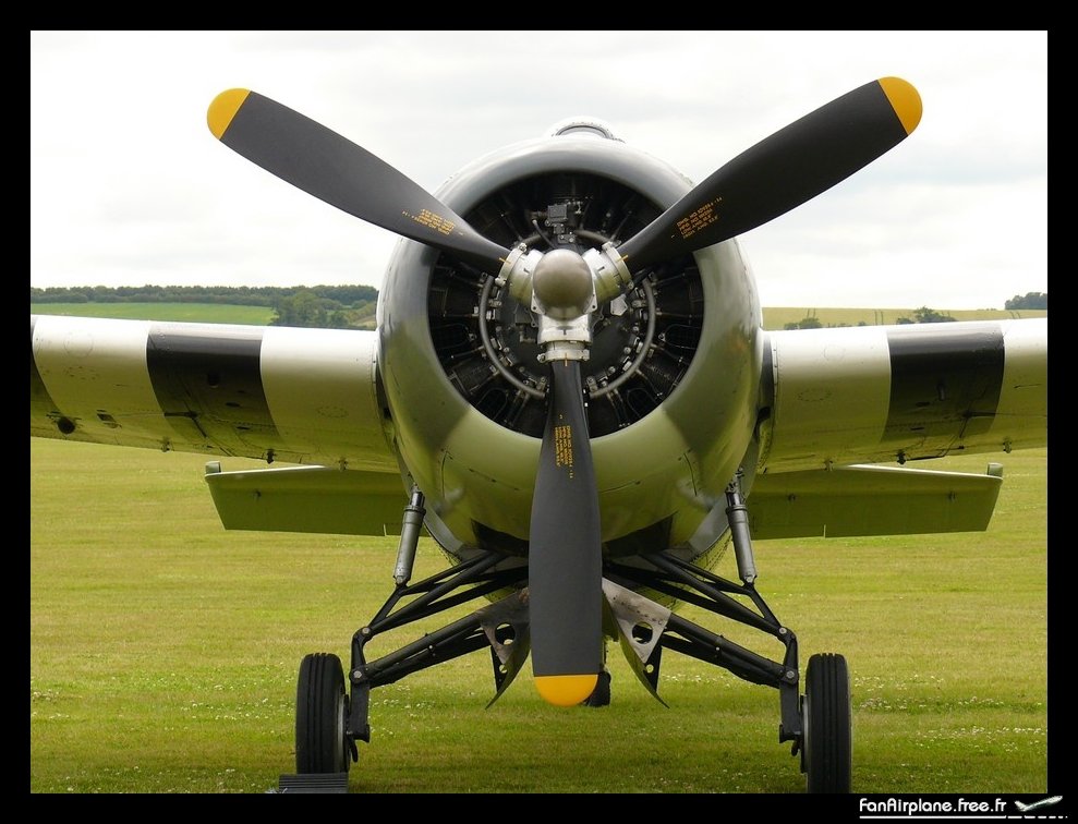 Eastern Aircraft FM-2 Wildcat - G-RUMW