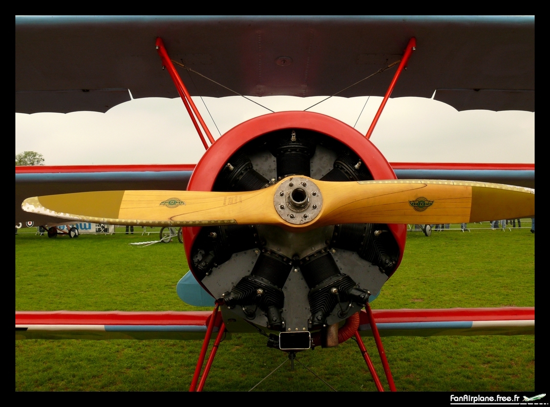 Fokker Dr-1 Replica - F-AZAQ