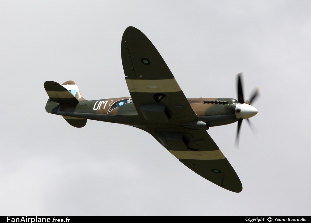 Supermarine 389 Spitfire PR19 - F-AZJS