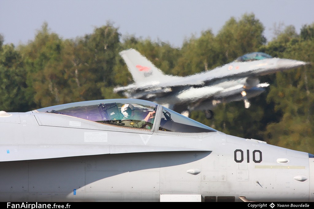 McDonnell Douglas F/A-18C Hornet - J-5010
