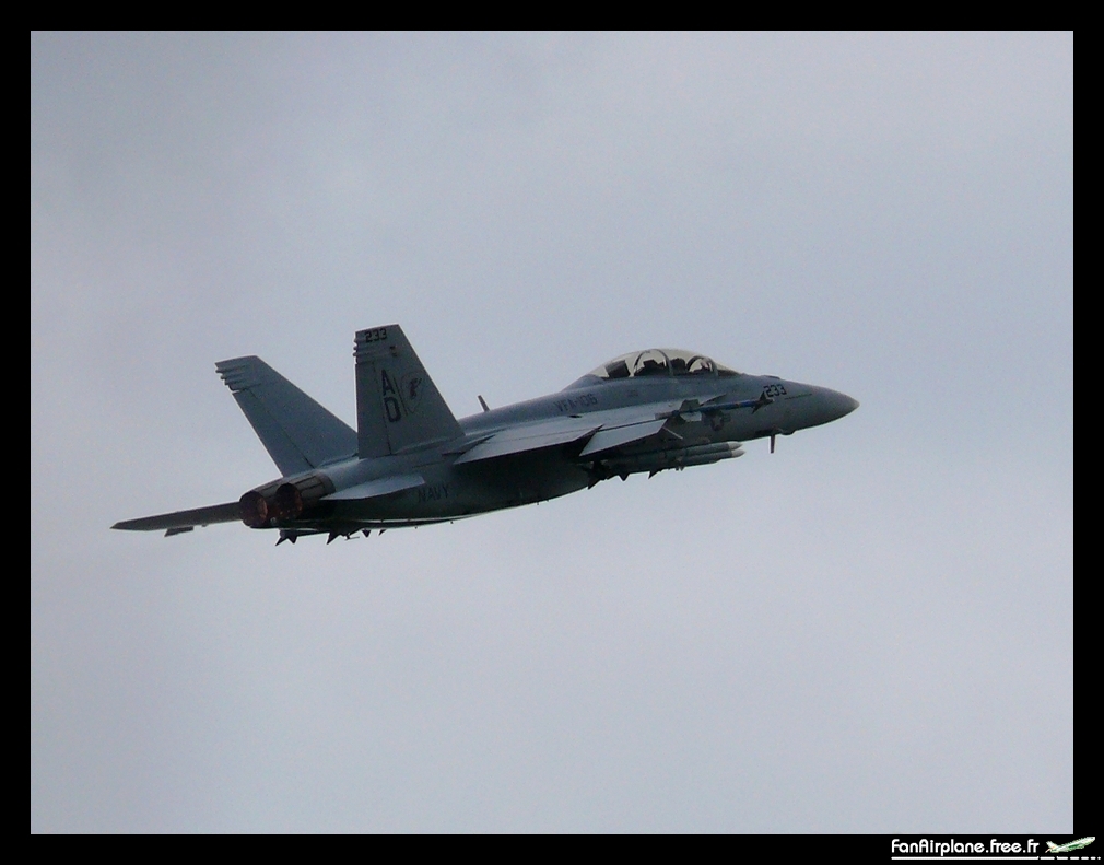 Boeing F/A-18F Super Hornet - 166660/AD233