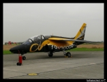 Dassault/Dornier Alpha Jet E E25 / F-TETJ