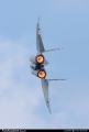 Mikoyan-Gurevich MiG-29UBS (9-51) 1303 / SL